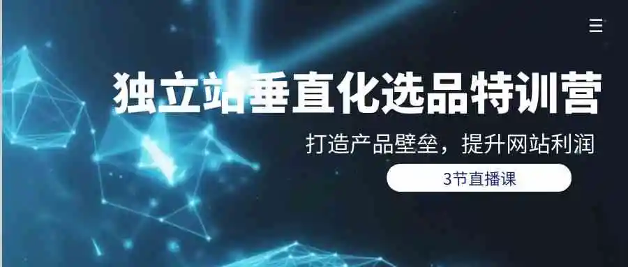 独立站-垂直化选品训练营，打造产品壁垒，提升网站利润（3节直播课）